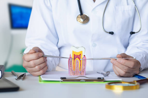 Best After-Hours Emergency Dentist in Shelton, NE